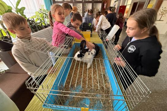 Kedvenceink vendgsgben nlunk – gy nnepeltk az llatok Vilgnapjt