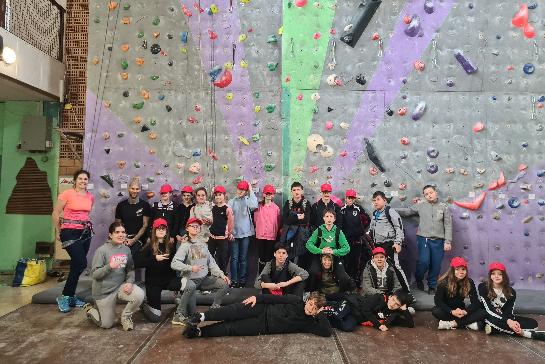 Sport 43: Falmszs